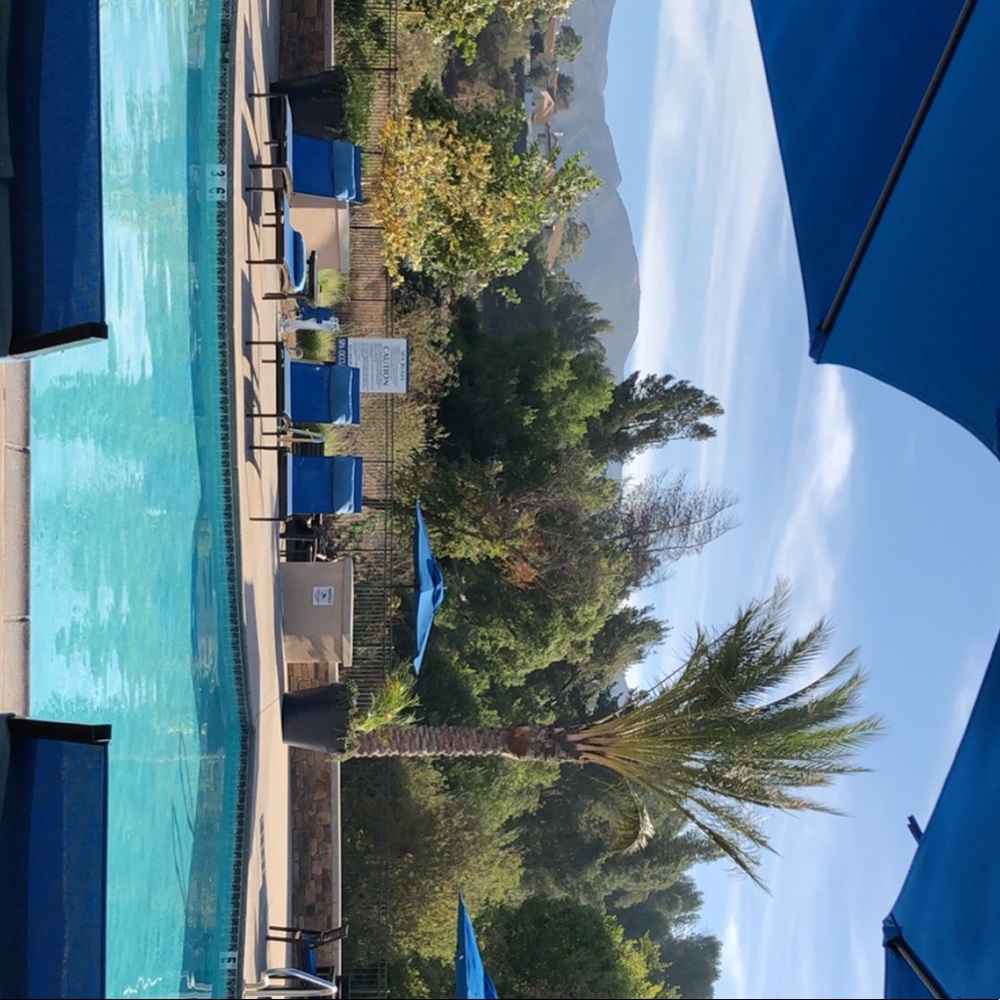 Meet your Posher, Joyce